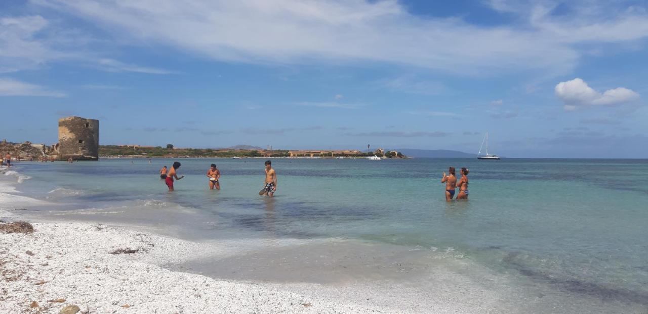 Stintino - Cala Lupo Aparthotel Bagian luar foto